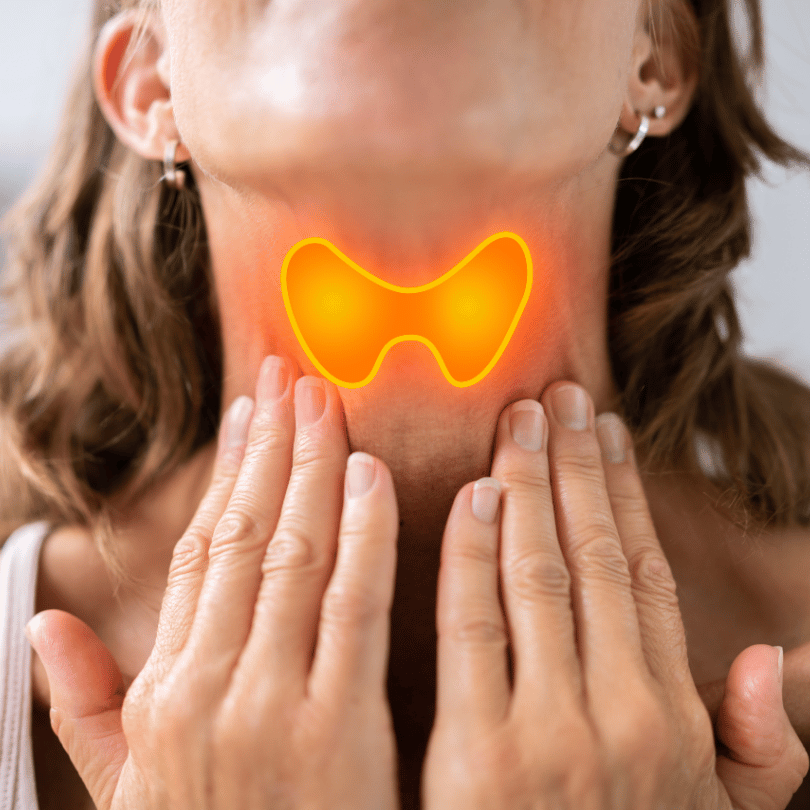 Illustration of thyroid gland on a woman's neck, representing Ashwagandha's hormone-balancing and thyroid-supporting benefits on Zaira Natural.
