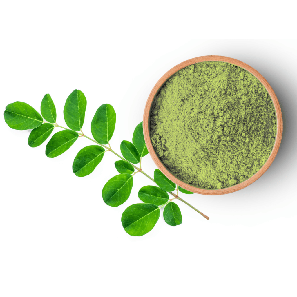 Moringa powder and fresh leaves by Zaira Natural.