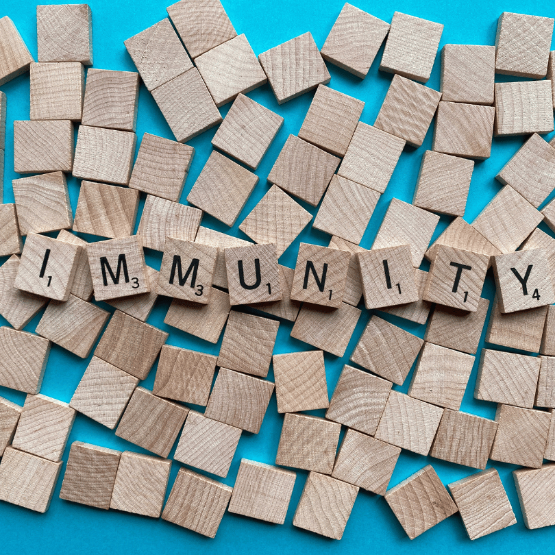 Wooden blocks spelling "immunity," symbolizing the immune-boosting properties of Tribulus fruit from Zaira Natural.