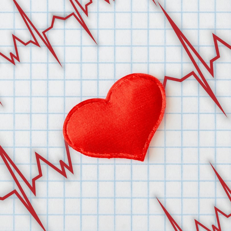 Tribulus fruit supporting cardiovascular health with a healthy heart representation on Zaira Natural.