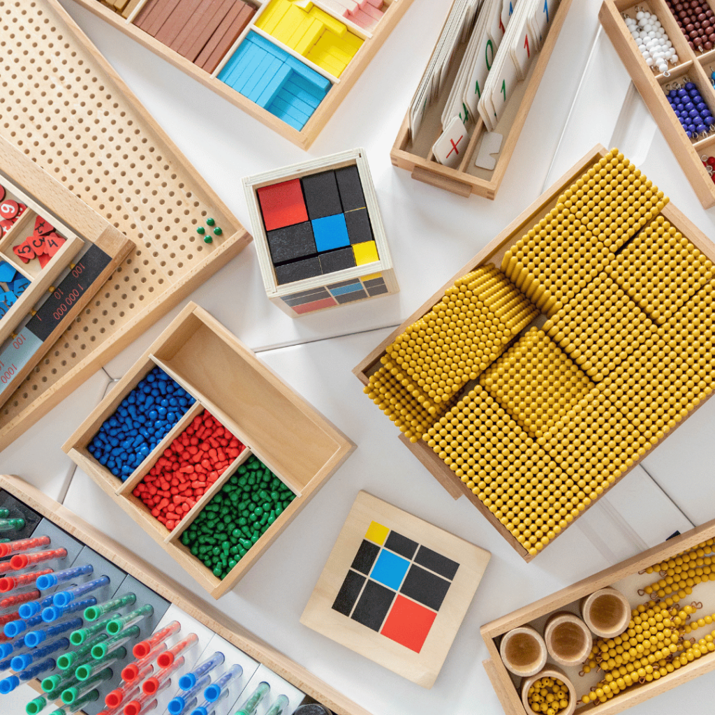Gotu Kola supporting cognitive function and memory with colorful wooden educational tools.