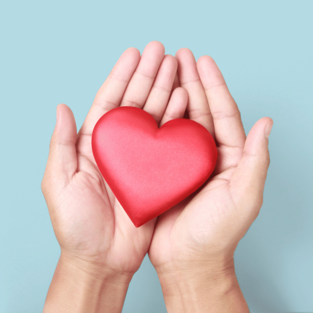 Hands holding a red heart, symbolizing Moringa’s benefits for heart health by Zaira Natural.